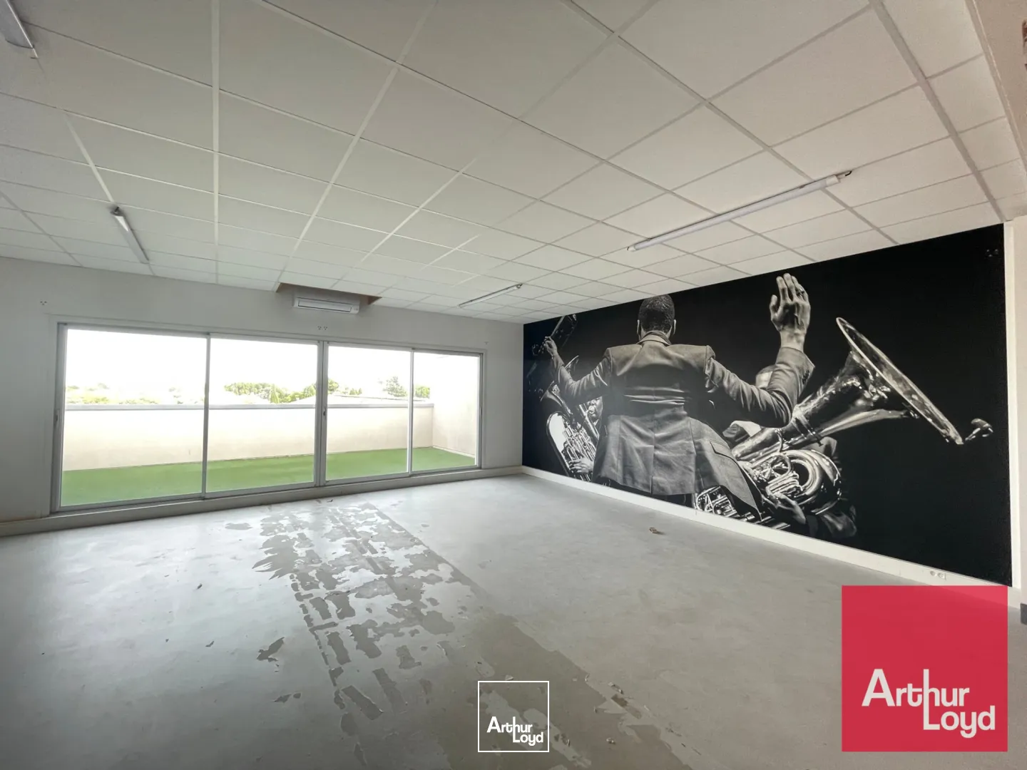 Locaux d'activité & Entrepôts - Location - VILLENEUVE LES MAGUELONE - 34750 - 40-330 - 7616916