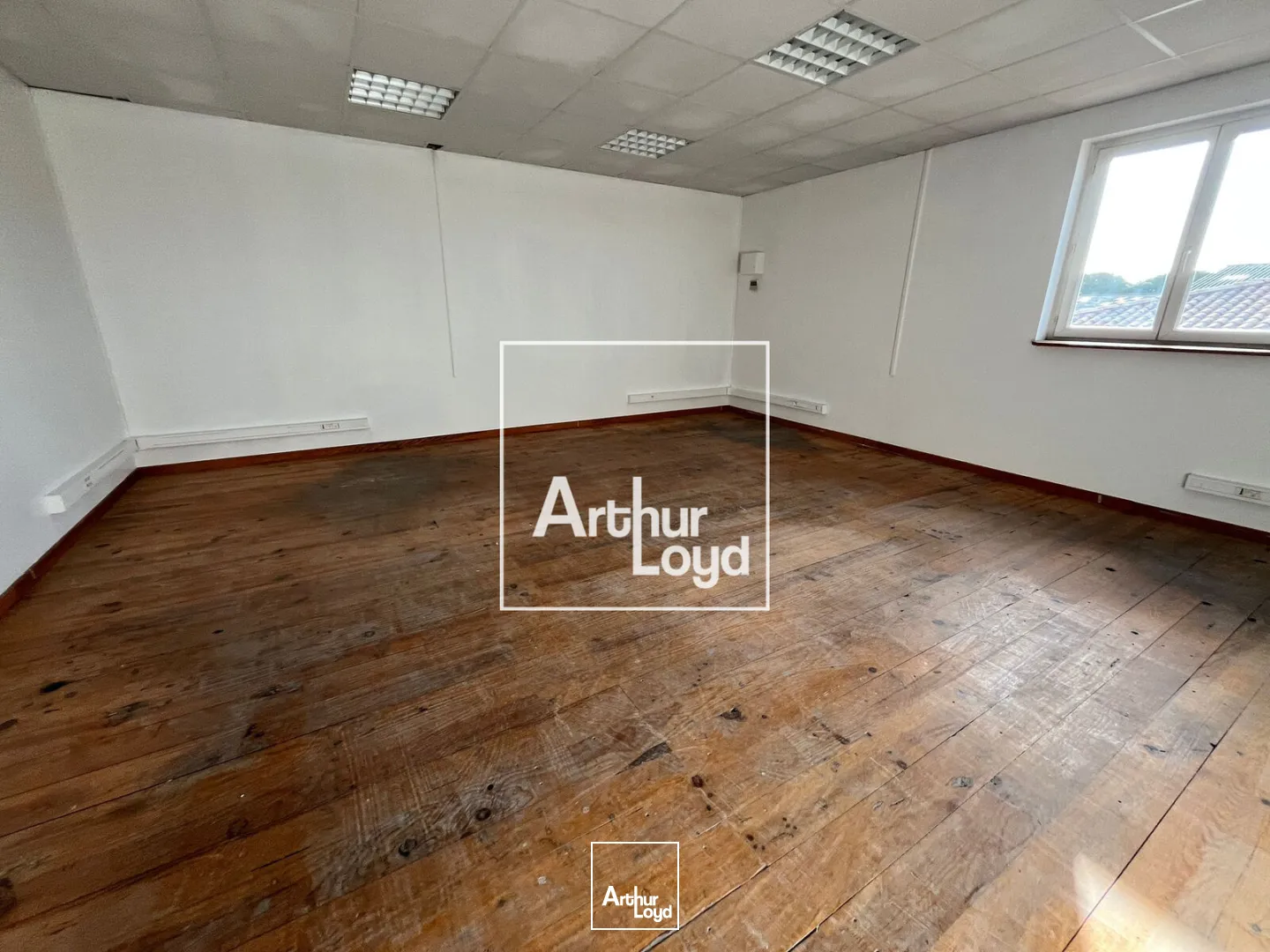 Locaux d'activité & Entrepôts - Location - LUNEL - 34400 - 133-133 - 7616954