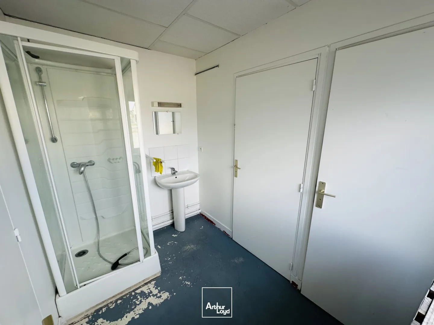 Locaux d'activité & Entrepôts - Vente - YERVILLE - 76760 - 196-595 - 7617015