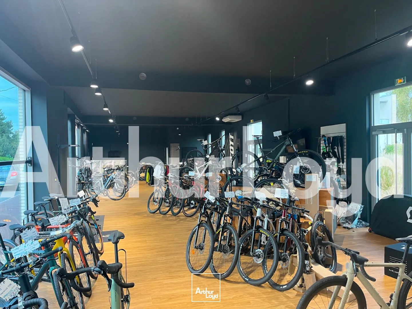 Locaux commerciaux - Location - BONDUES - 59910 - 208-208 - 7617206