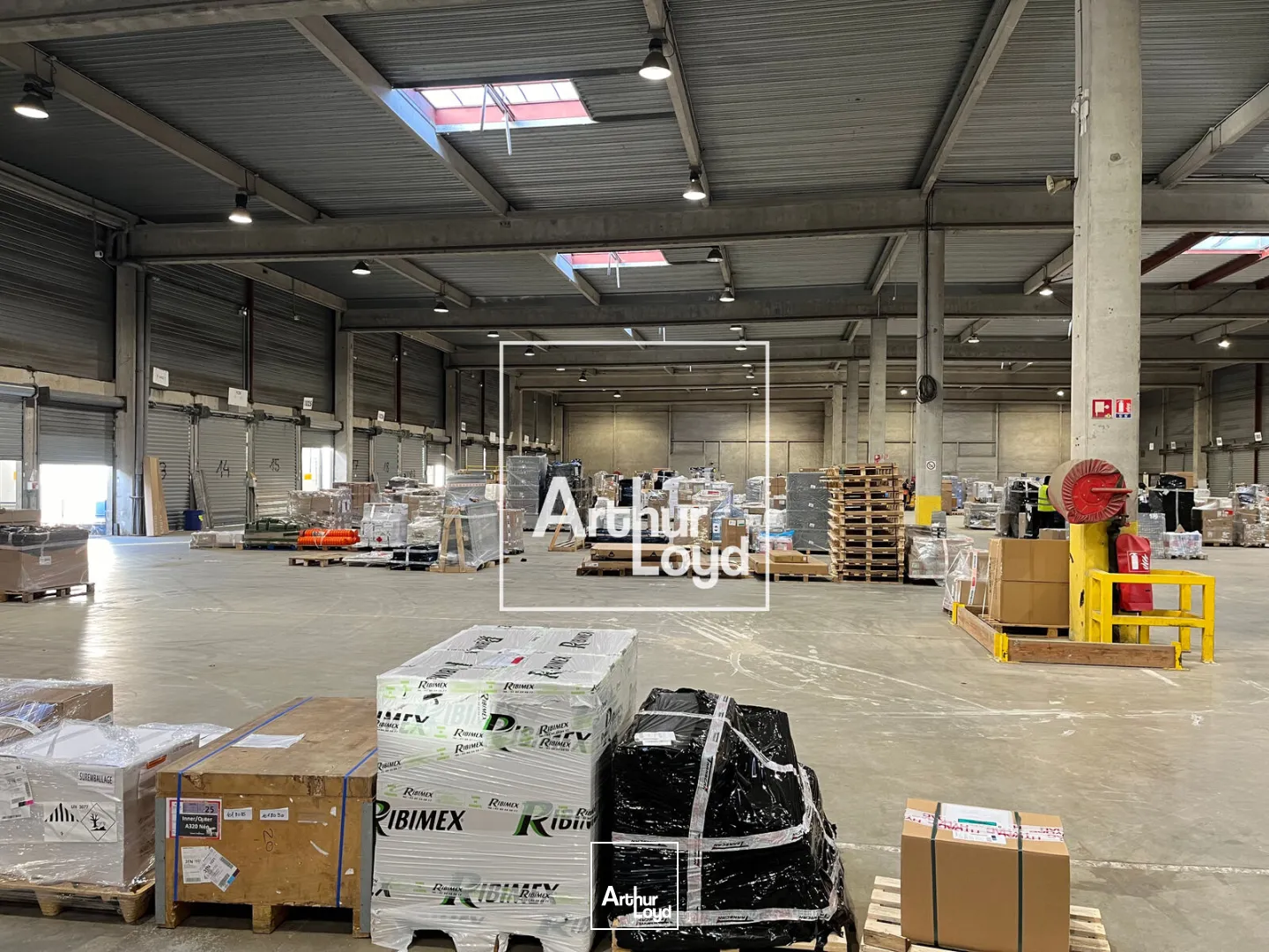 Locaux d'activité & Entrepôts - Location - TOULOUSE - 31200 - 4100-4100 - 7617285