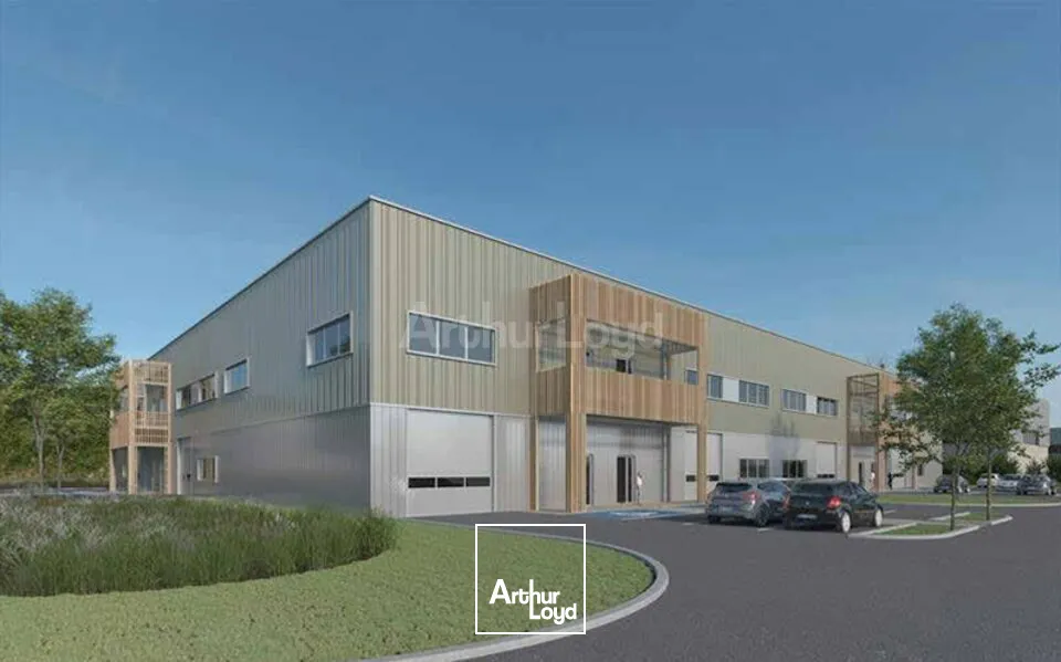 Locaux d'activité & Entrepôts - Vente - SAINTE-CROIX-EN-PLAINE - 68127 - 286-13500 - 7618539