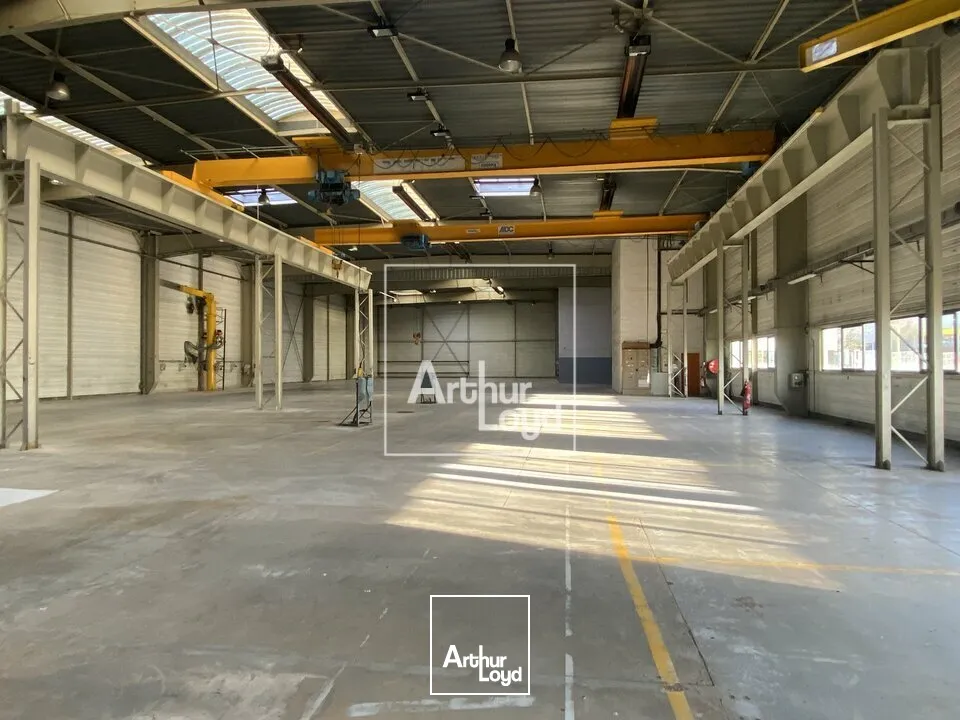 Locaux d'activité & Entrepôts - Location - LISSES - 91090 - 2614-2614 - 7618611