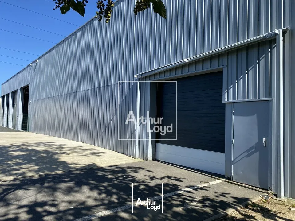 Locaux d'activité & Entrepôts - Vente - LISSES - 91090 - 1075-1075 - 7618622