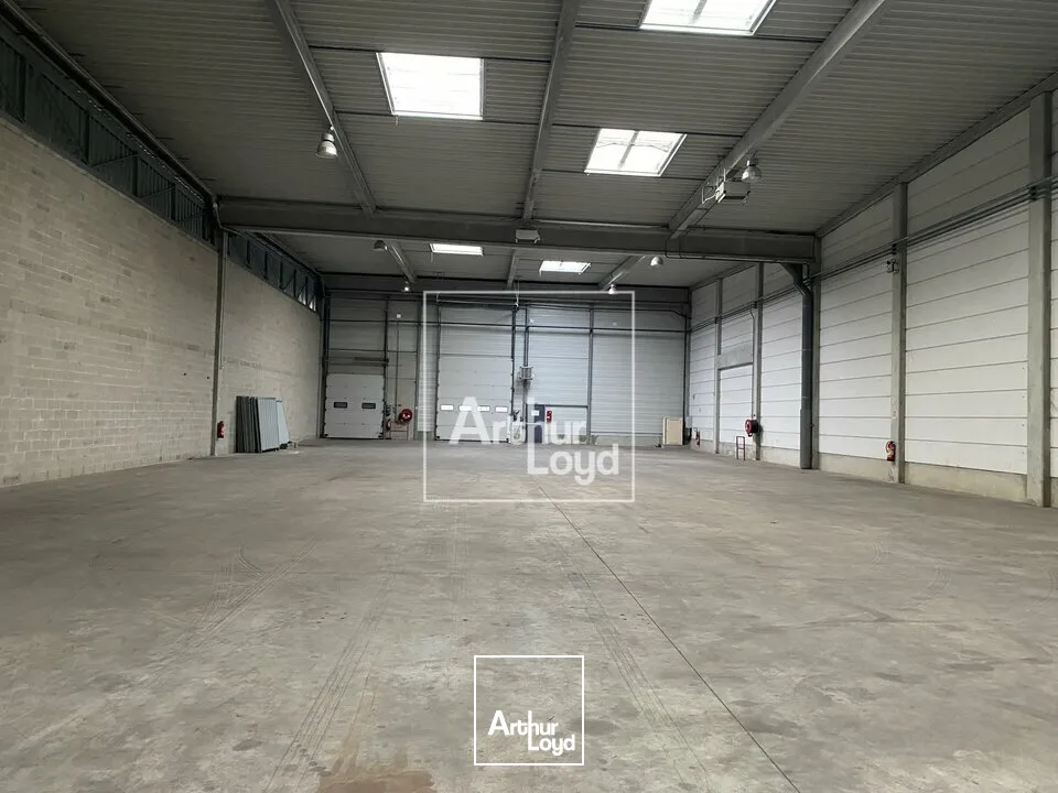 Locaux d'activité & Entrepôts - Location - LIEUSAINT - 77127 - 1418-1418 - 7618656