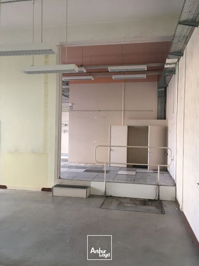 Bureaux - Location - LIMOGES - 87000 - 650-650 - 7618837