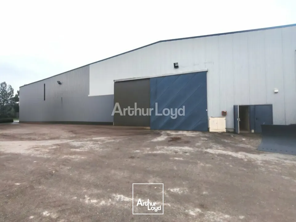 Locaux d'activité & Entrepôts - Location - SAINT MEMMIE - 51470 - 454-454 - 7619048