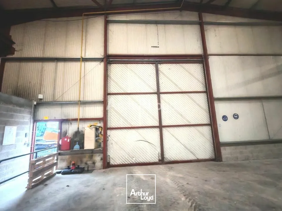 Locaux d'activité & Entrepôts - Location - SAINT MEMMIE - 51470 - 454-454 - 7619054