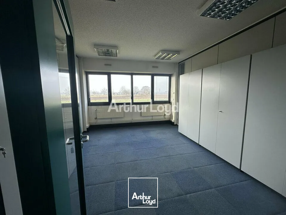 Bureaux - Vente - REICHSTETT - 67116 - 4245-4245 - 7619262