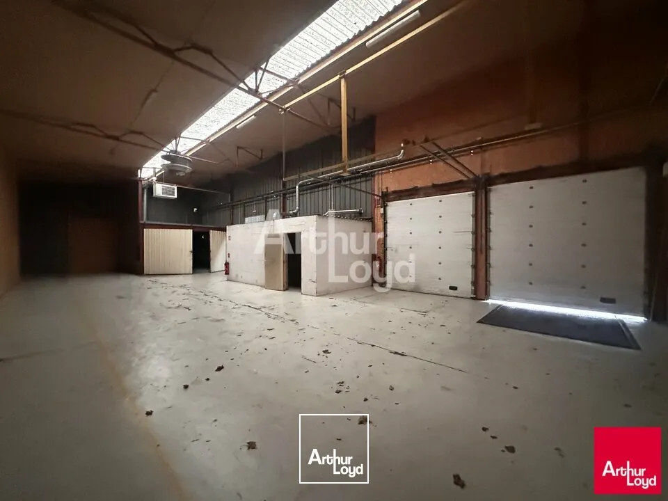 Locaux d'activité & Entrepôts - Location - LAVAL - 53000 - 706-706 - 7619301