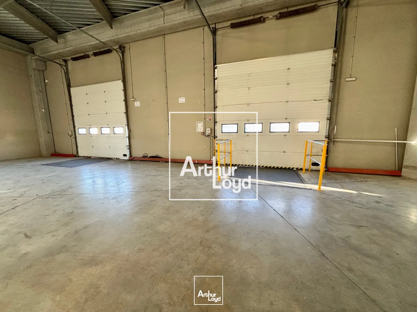 Locaux d'activité & Entrepôts - Location - SAINT JEAN DE VEDAS - 34430 - 1091-1091 - 7619436