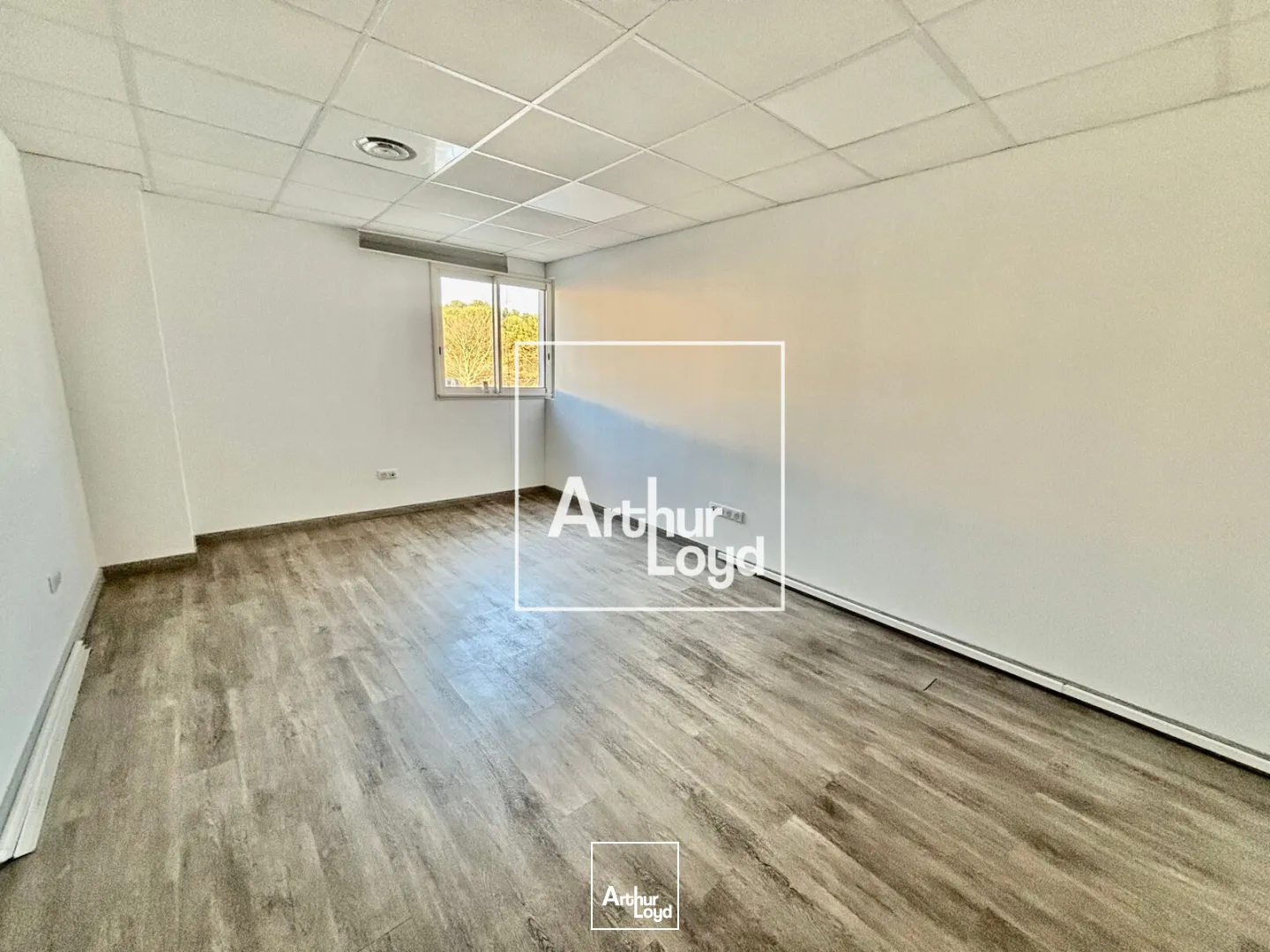 Locaux d'activité & Entrepôts - Location - SAINT JEAN DE VEDAS - 34430 - 1091-1091 - 7619443