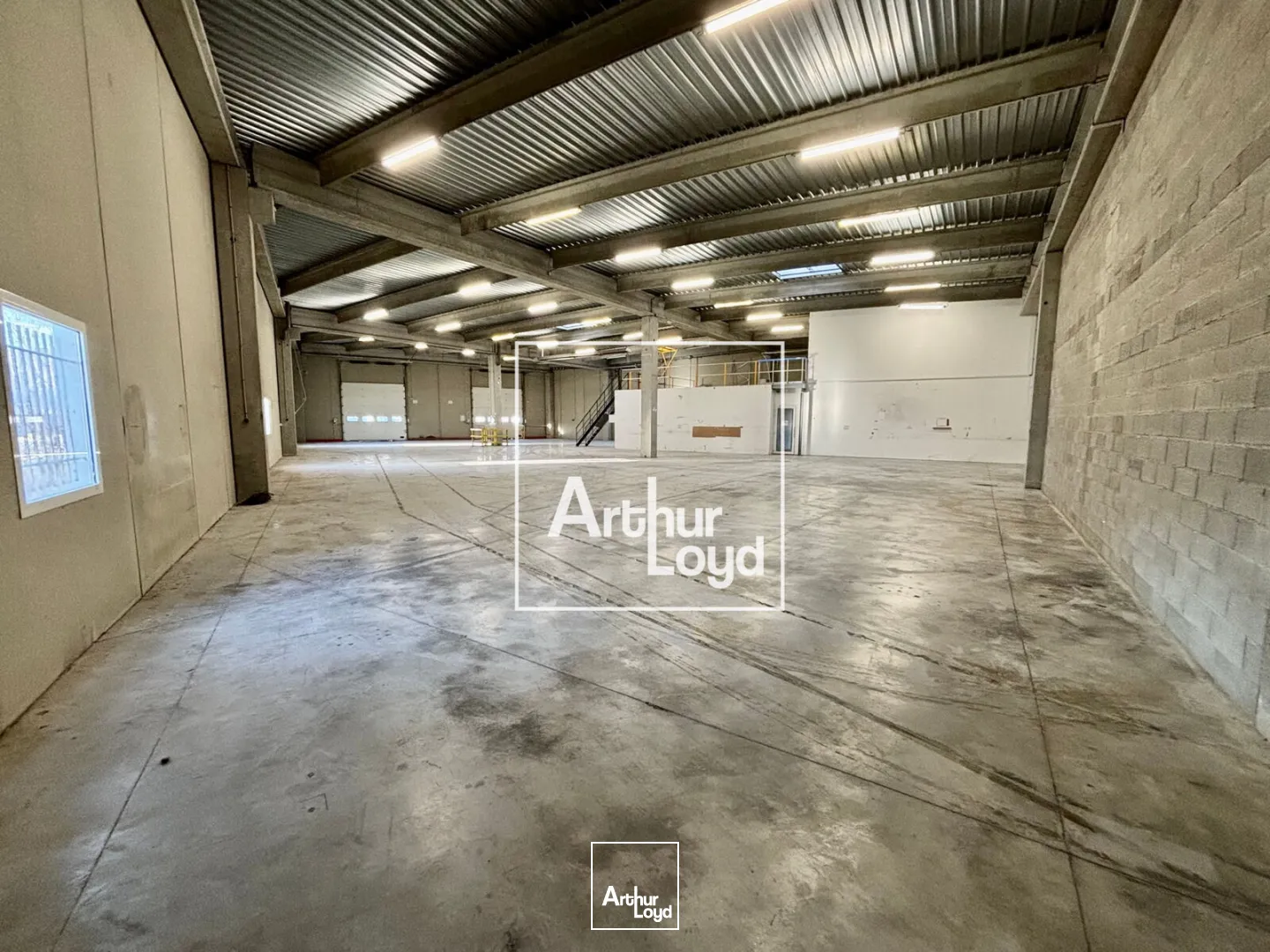 Locaux d'activité & Entrepôts - Location - SAINT JEAN DE VEDAS - 34430 - 1091-1091 - 7619431