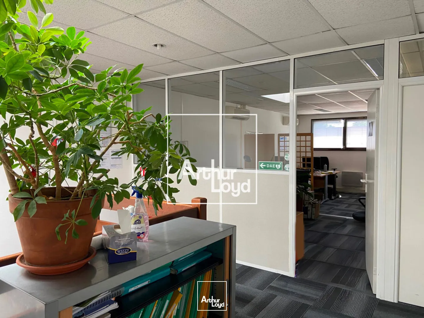 Bureaux - Location - BALMA - 31130 - 130-330 - 7619907