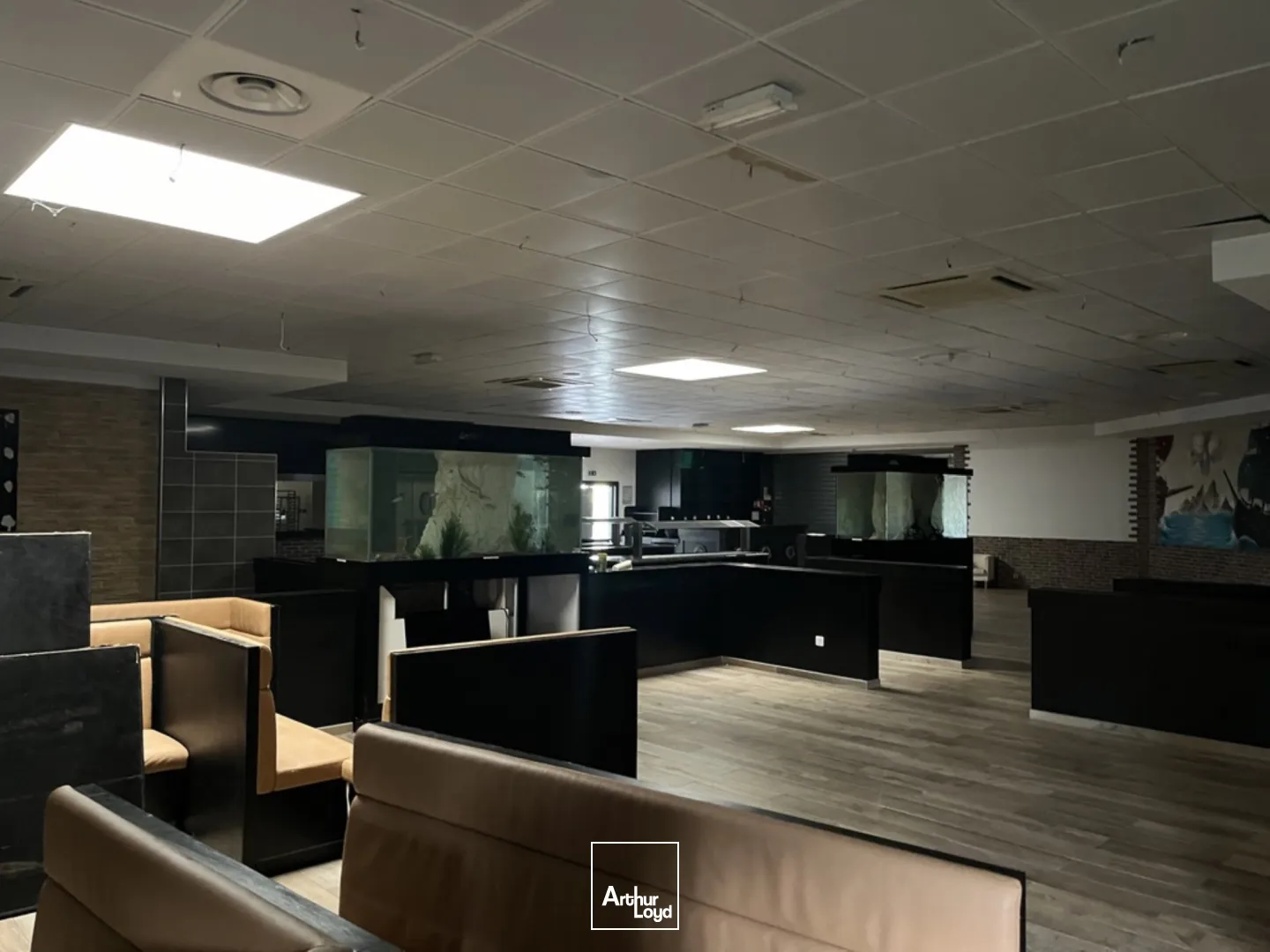 Locaux commerciaux - Vente - LA CHAPELLE SAINT MESMIN - 45380 - 610-610 - 7619971