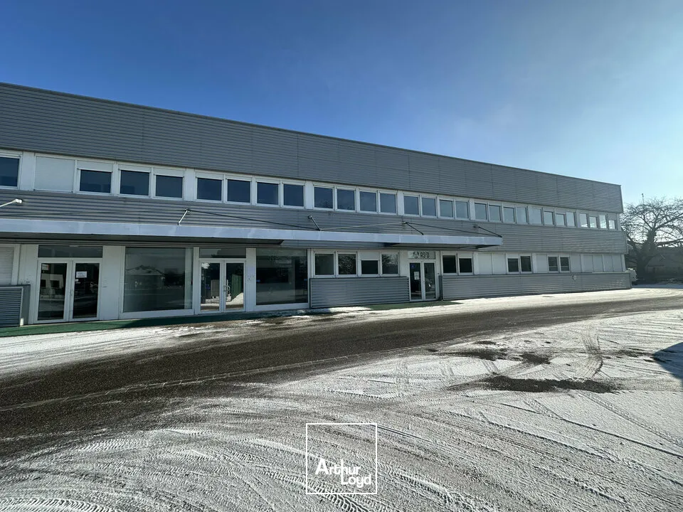 Bureaux - Location - MUNDOLSHEIM - 67450 - 170-170 - 7620202