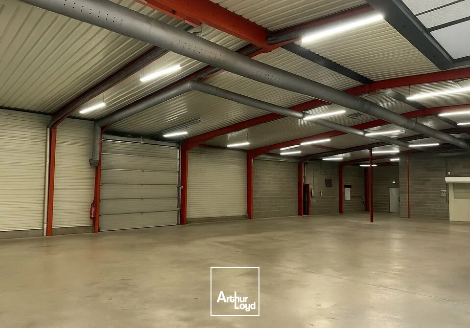 Locaux commerciaux - Location - LUCON - 85400 - 305-305 - 7620282