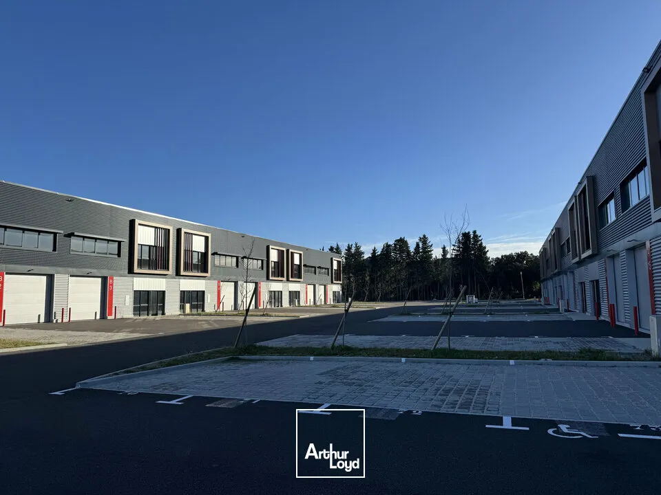 Locaux d'activité & Entrepôts - Location - VILLENEUVE-LÈS-AVIGNON - 30400 - 310-310 - 7621023