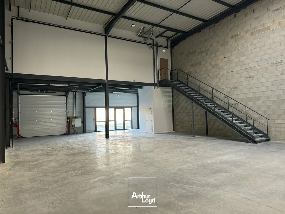 Locaux d'activité & Entrepôts - Location - VILLENEUVE-LÈS-AVIGNON - 30400 - 310-310 - 7621026