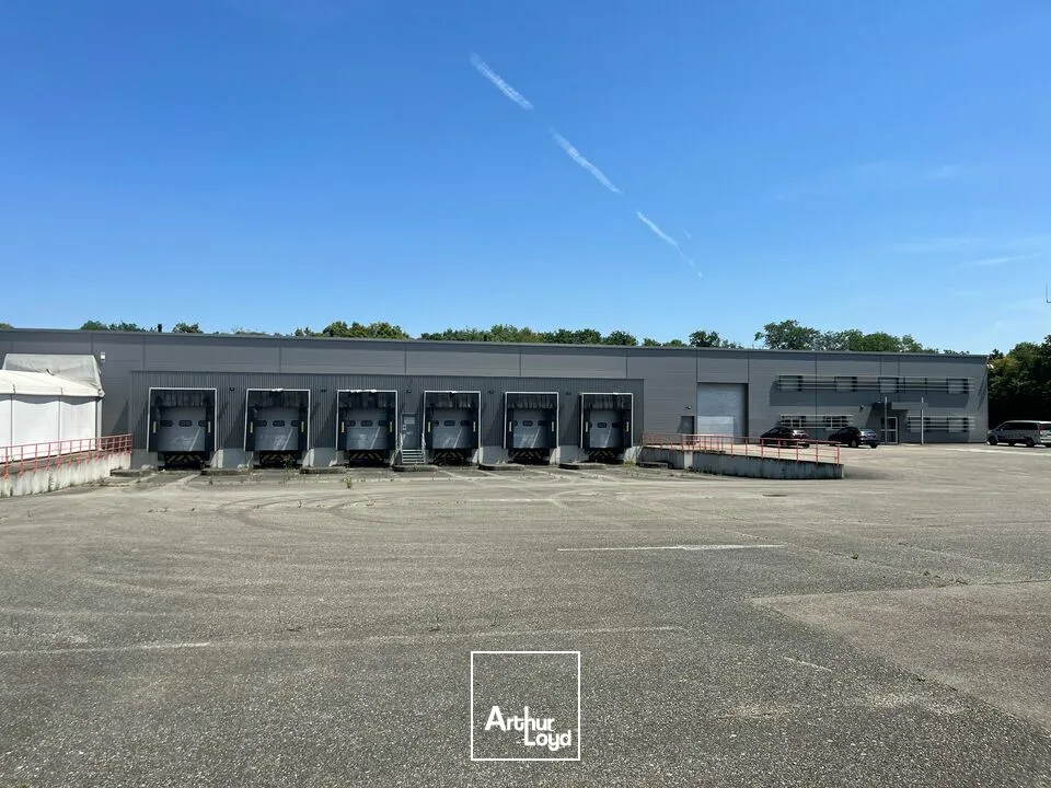 Locaux d'activité & Entrepôts - Vente - WITTENHEIM - 68270 - 4945-4945 - 7621049