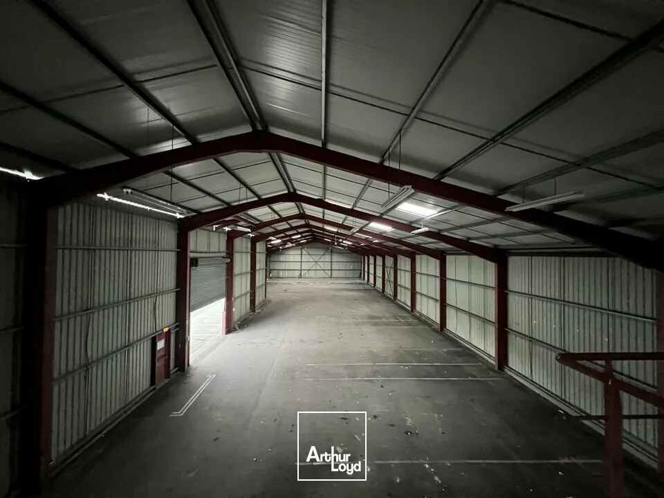 Locaux commerciaux - Location - CHÂTEAUBERNARD - 16100 - 1360-1360 - 7621271