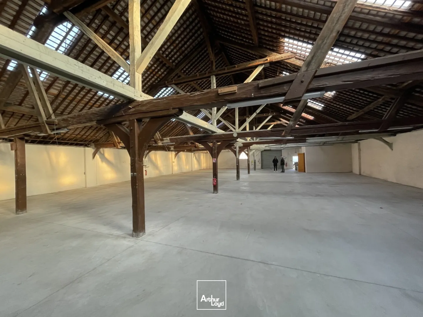 Locaux d'activité & Entrepôts - Location - SAINT AUBIN LES ELBEUF - 76410 - 740-740 - 7621373