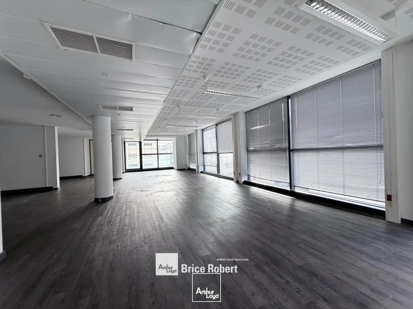 Bureaux - Location - LYON - 69006 - 233.82-785.86 - 7621707