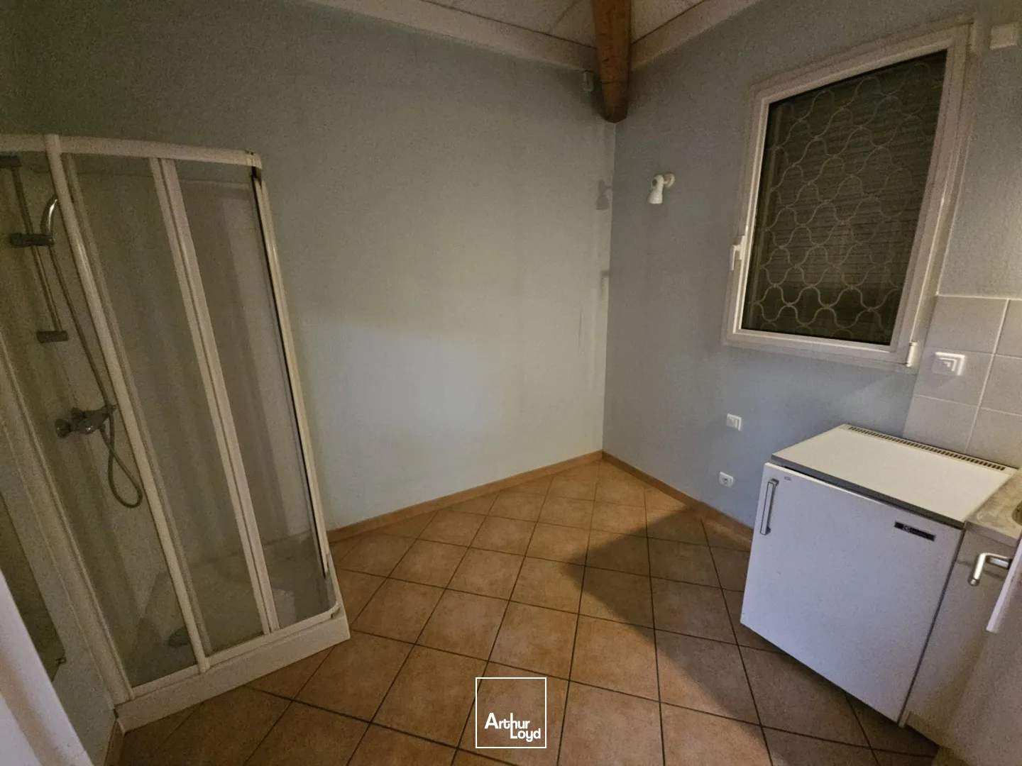 Locaux commerciaux - Vente - ROANNE - 42300 - 165-165 - 7622008