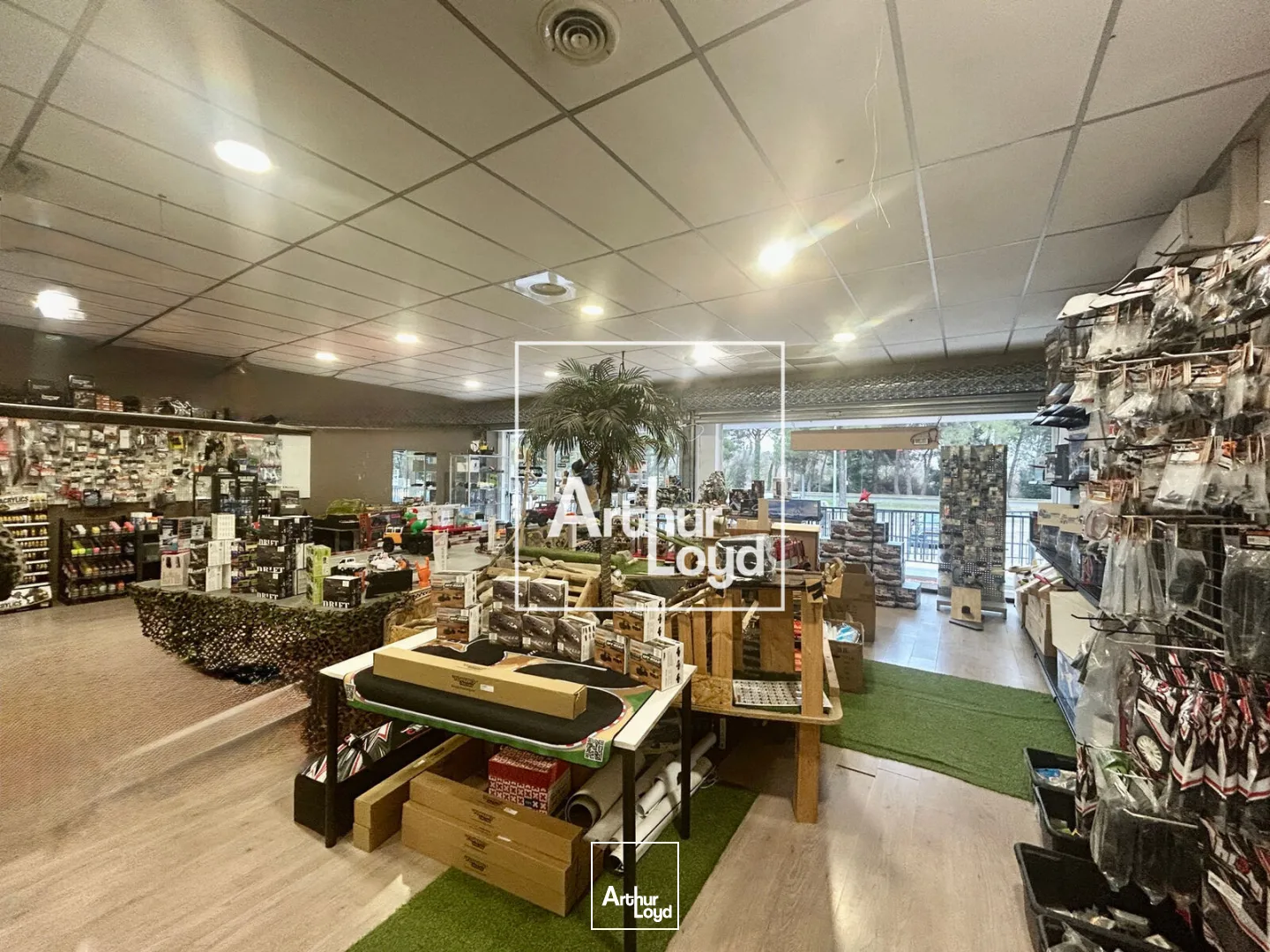 Locaux commerciaux - Location - LATTES - 34970 - 210-210 - 7622191