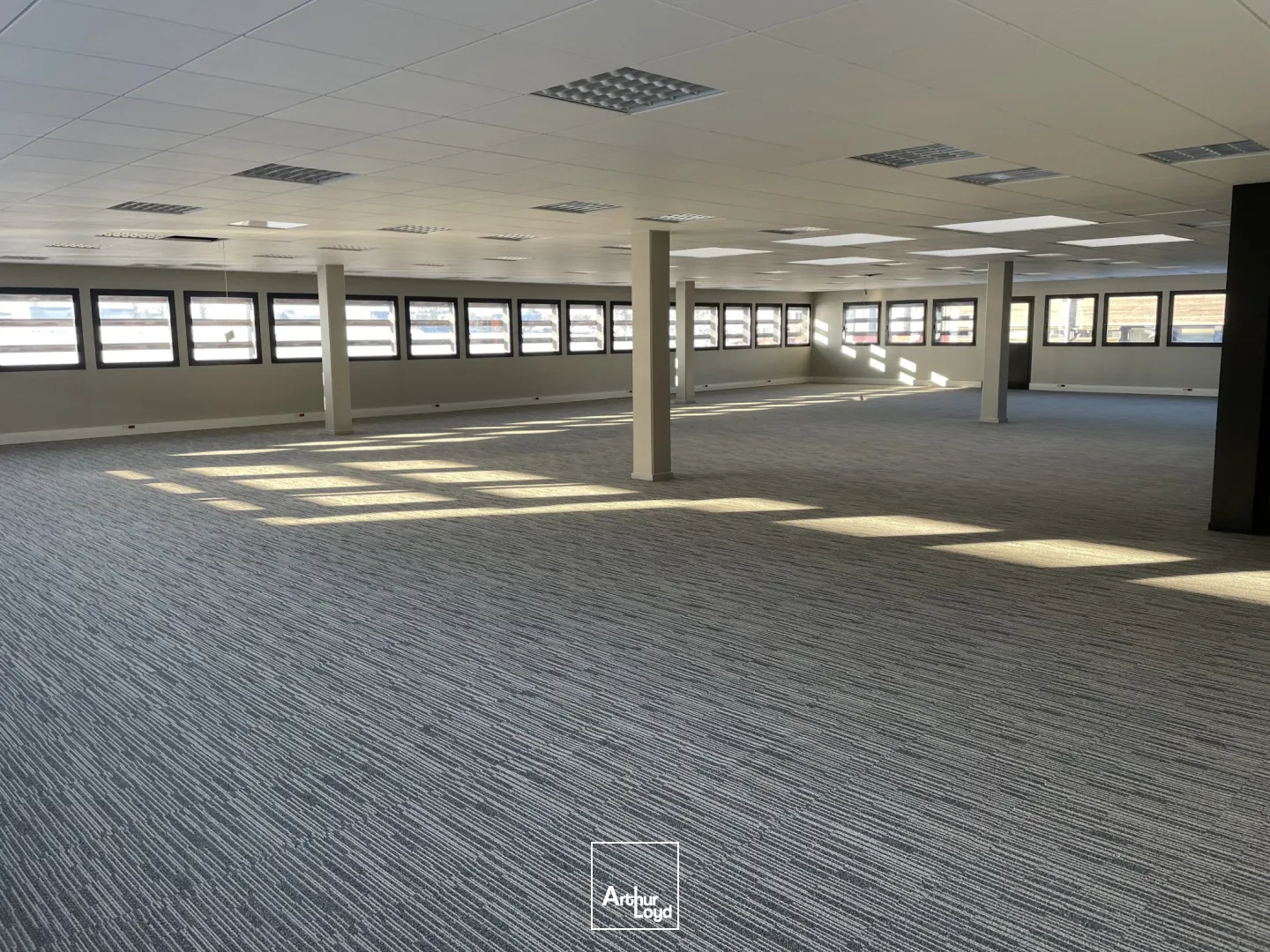 Bureaux - Location - LOOS - 59120 - 244-244 - 7622527