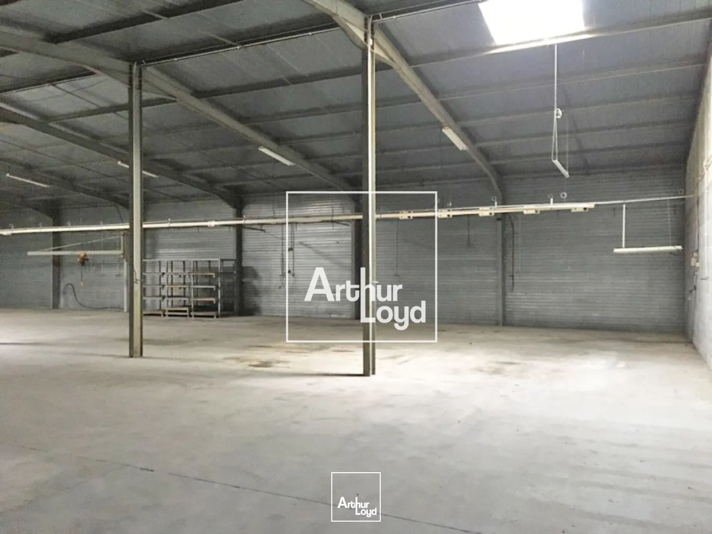 Locaux d'activité & Entrepôts - Vente - VINASSAN - 11110 - 700-700 - 7622597