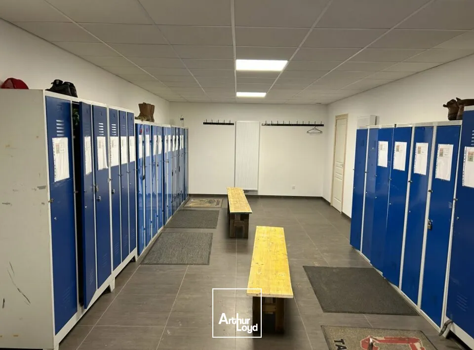 Locaux d'activité & Entrepôts - Vente - WITTELSHEIM - 68310 - 1440-1440 - 7623776