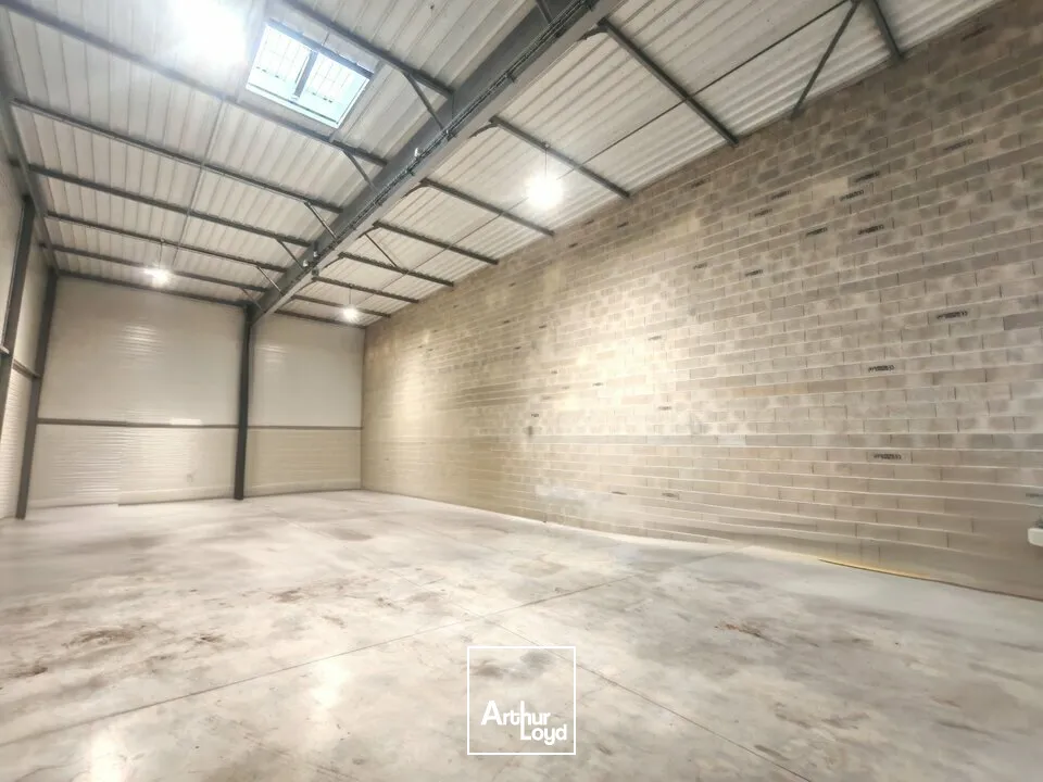 Locaux d'activité & Entrepôts - Vente - CERNAY-LÈS-REIMS - 51420 - 350-350 - 7623825