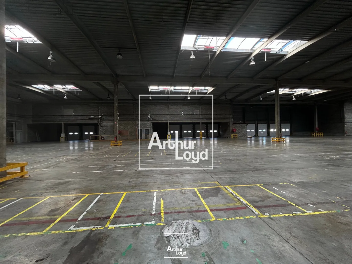 Locaux d'activité & Entrepôts - Location - TOULOUSE - 31200 - 6933-6933 - 7623955