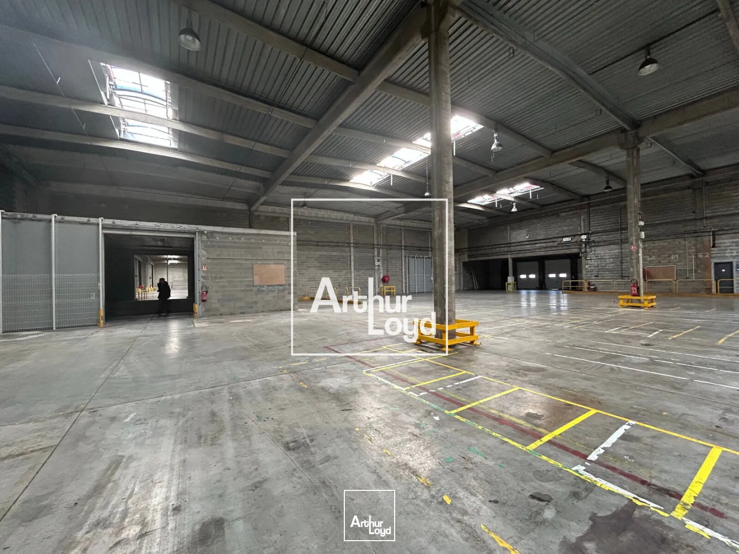 Locaux d'activité & Entrepôts - Location - TOULOUSE - 31200 - 6933-6933 - 7623956