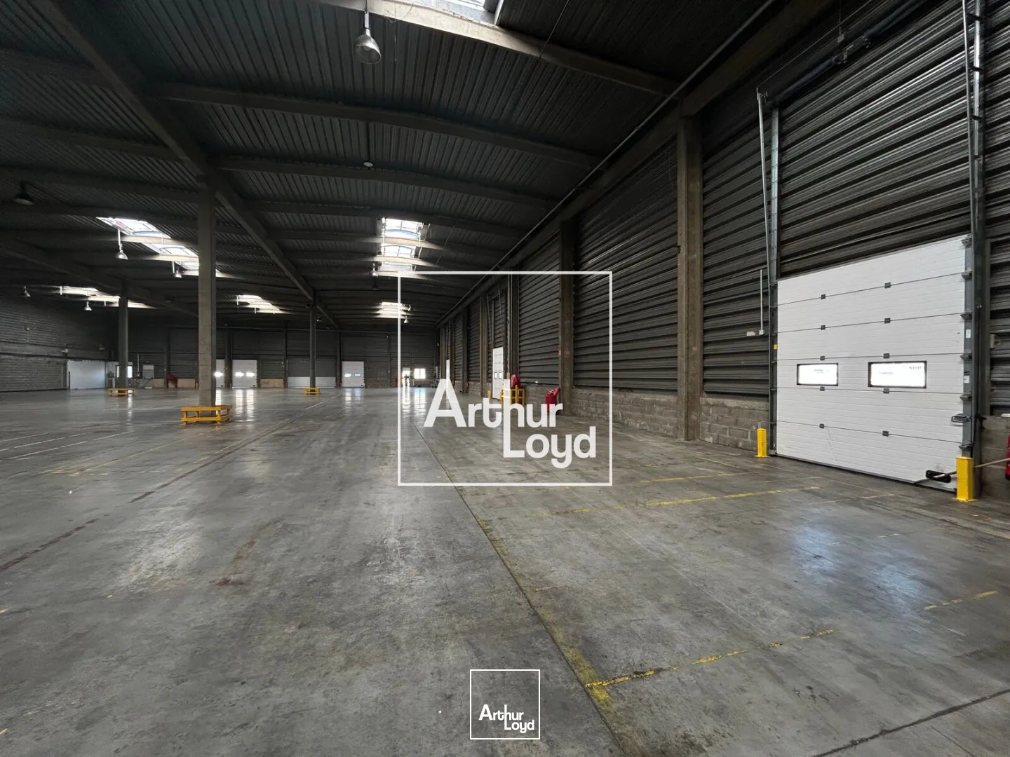 Locaux d'activité & Entrepôts - Location - TOULOUSE - 31200 - 6933-6933 - 7623959