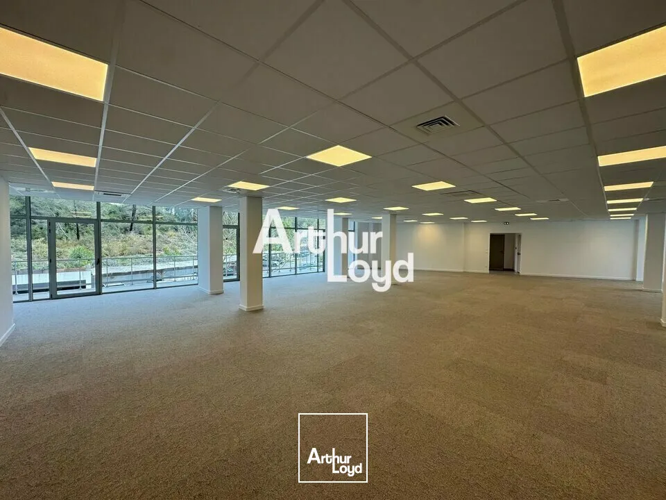 Bureaux - Location - VALBONNE - 06560 - 299-1928 - 7623998