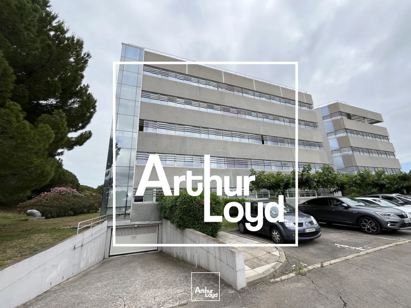 Bureaux - Vente - MONTPELLIER - 34000 - 2765-2765 - 7624215