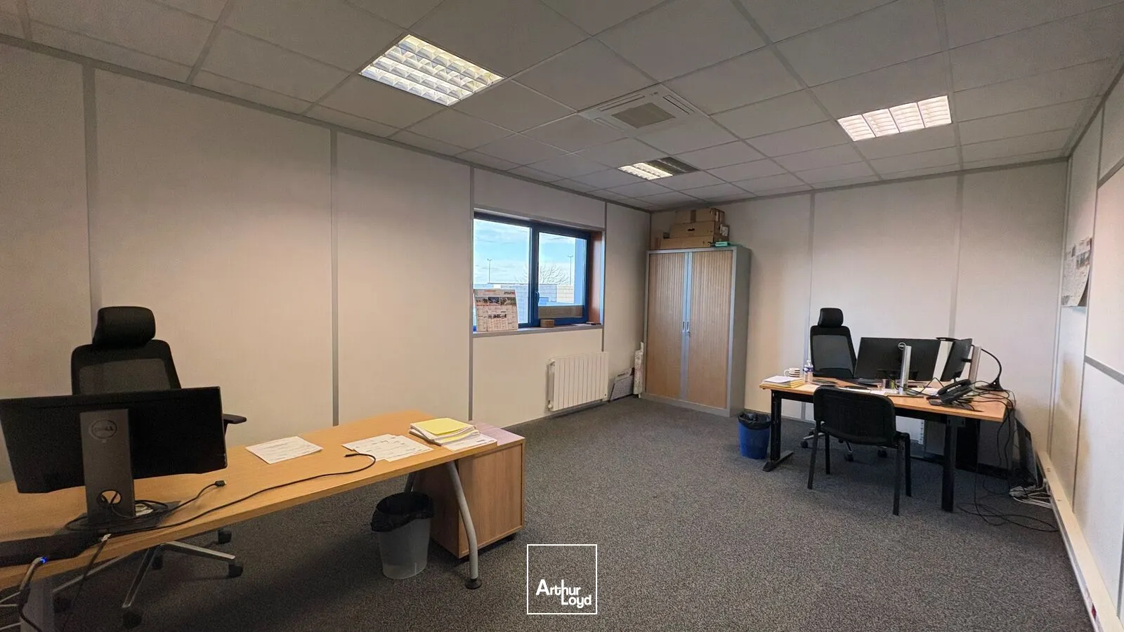 Locaux d'activité & Entrepôts - Location - LA CHAPELLE SAINT MESMIN - 45380 - 1297.1-1297.1 - 7624487