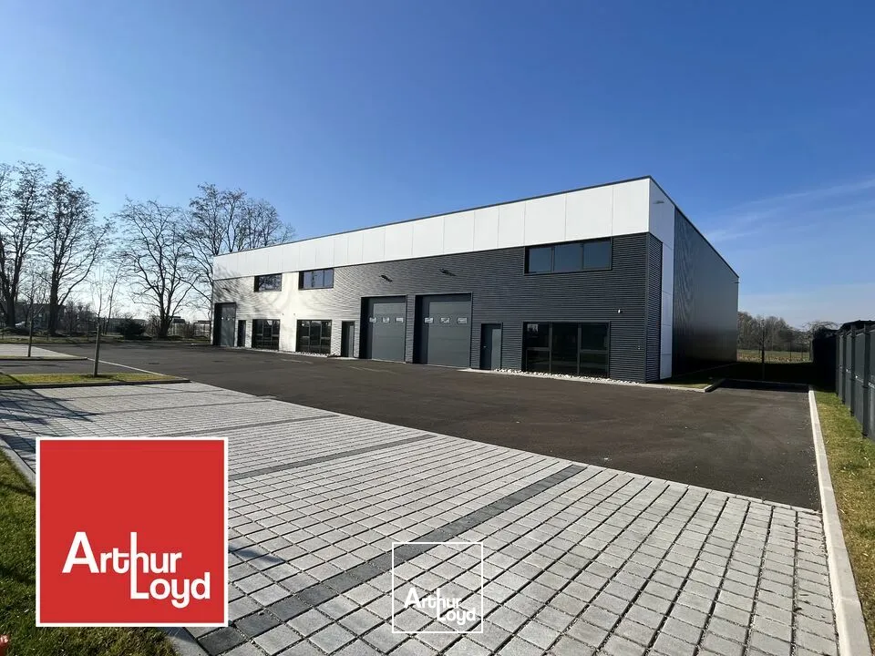 Locaux d'activité & Entrepôts - Vente - SOUFFELWEYERSHEIM - 67460 - 392-1169 - 7625154