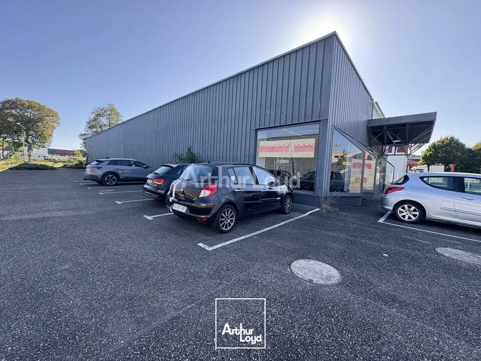 Locaux commerciaux - Location - OSTWALD - 67540 - 368-368 - 7625149