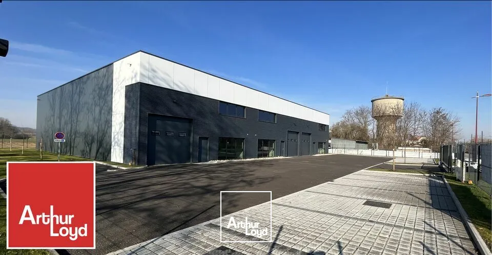 Locaux d'activité & Entrepôts - Vente - SOUFFELWEYERSHEIM - 67460 - 392-1169 - 7625156