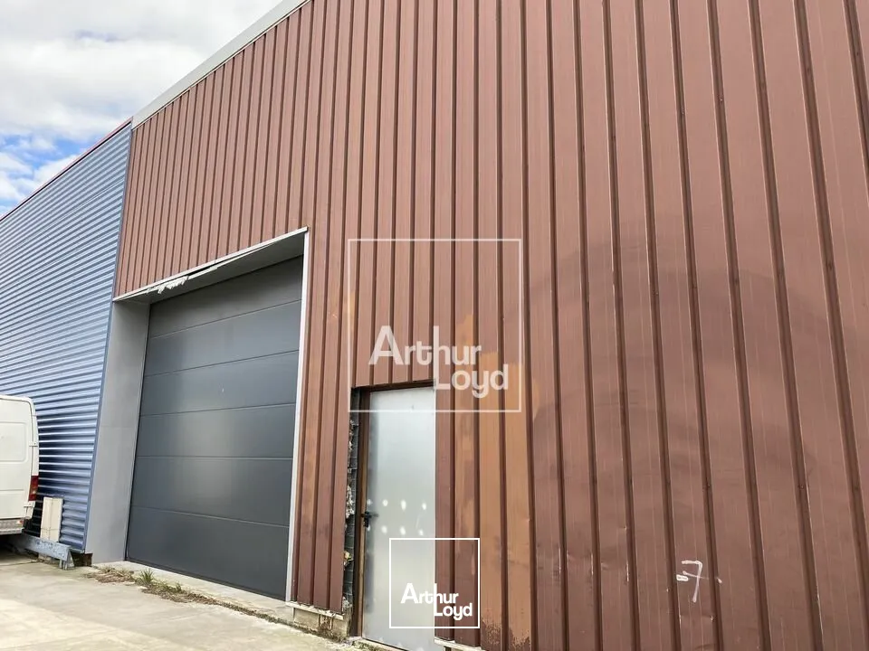 Locaux d'activité & Entrepôts - Vente - MOISSY CRAMAYEL - 77550 - 245-245 - 7625217