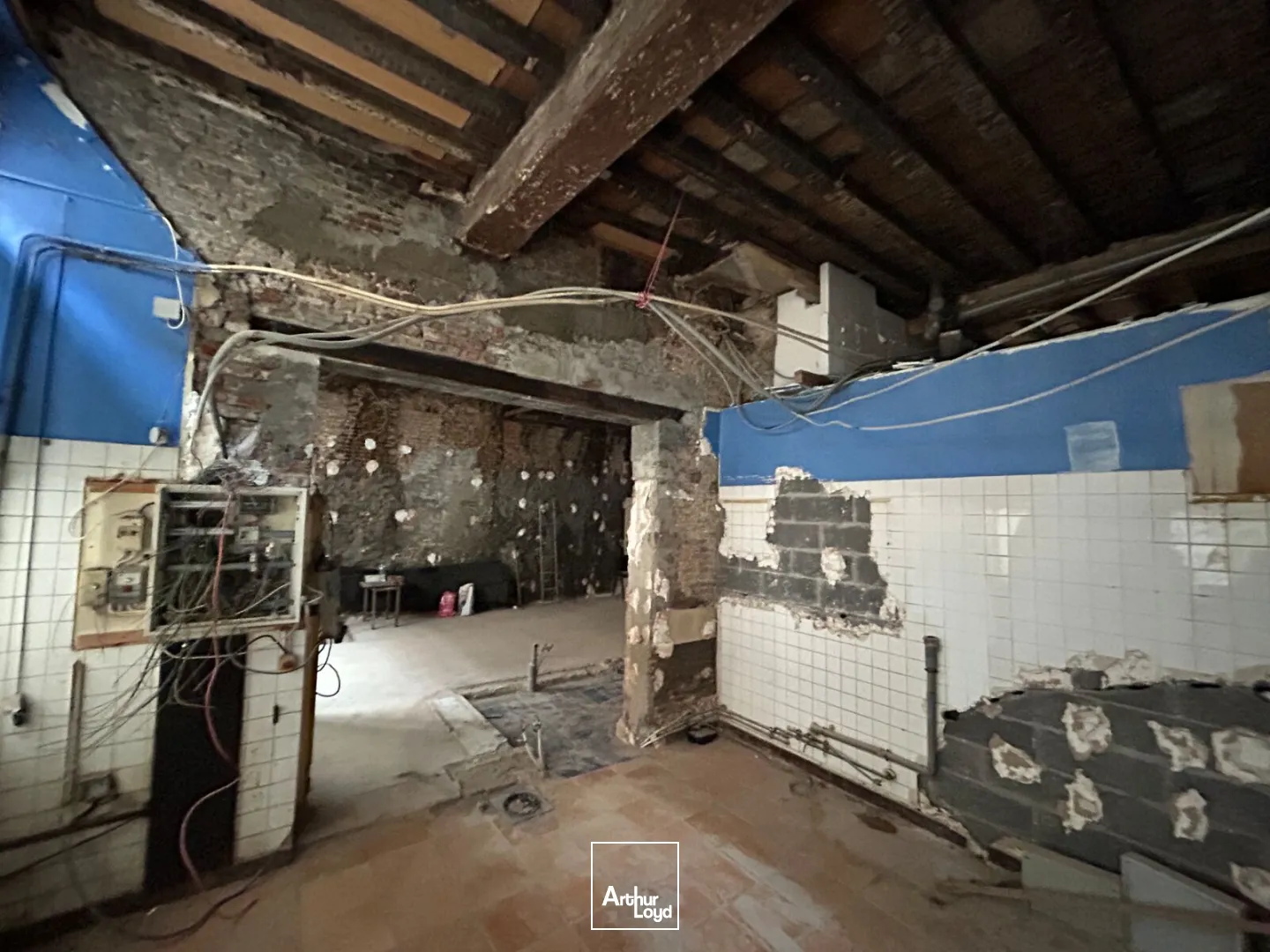 Locaux commerciaux - Location - LILLE - 59000 - 15-175 - 7626662