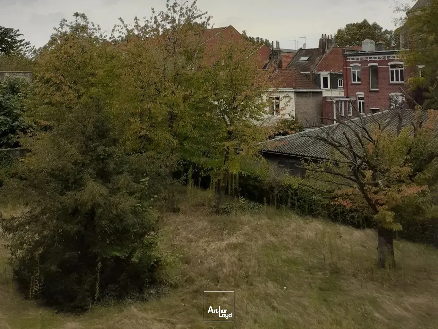 Bureaux - Vente - LILLE - 59000 - 255.2-1577 - 7628903