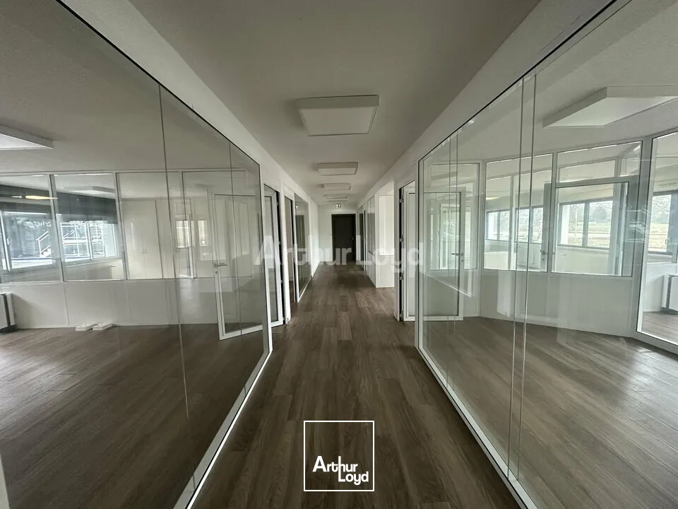 Bureaux - Vente - REICHSTETT - 67116 - 4245-4245 - 7629677