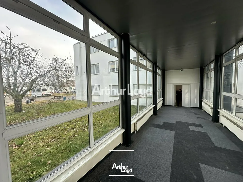 Bureaux - Vente - REICHSTETT - 67116 - 4245-4245 - 7629684