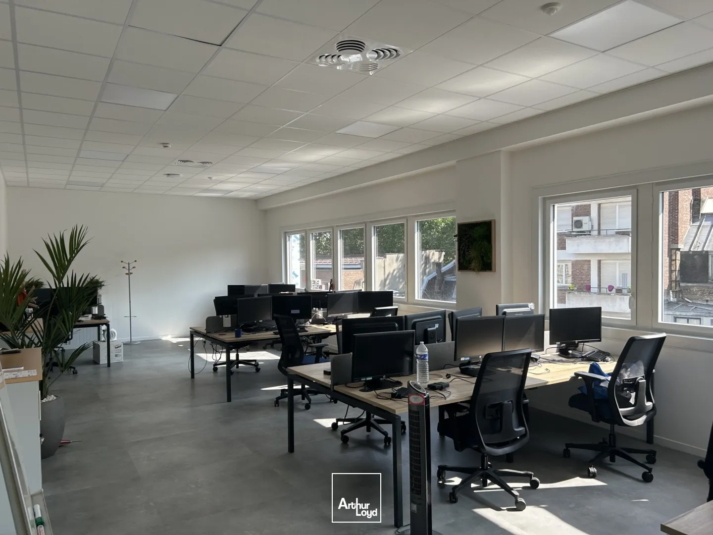 Bureaux - Location - LILLE - 59000 - 515-515 - 7630133