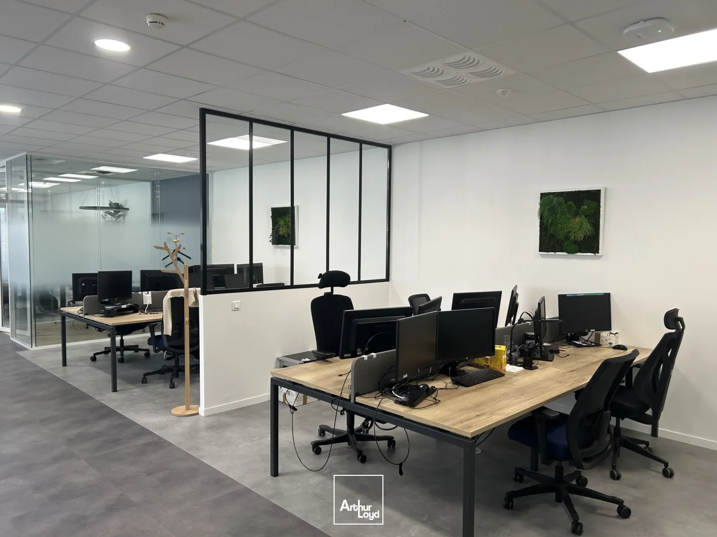 Bureaux - Location - LILLE - 59000 - 515-515 - 7630136