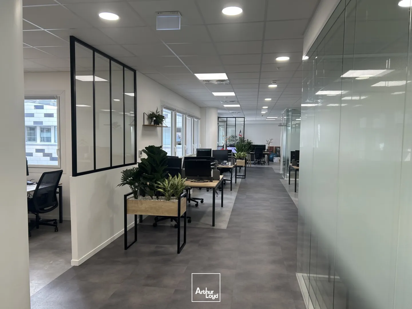Bureaux - Location - LILLE - 59000 - 515-515 - 7630139